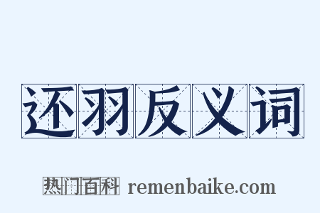 还羽反义词是什么意思的图片